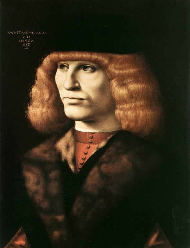 PREDIS, Ambrogio de Portrait of a Young Man sgt oil painting image